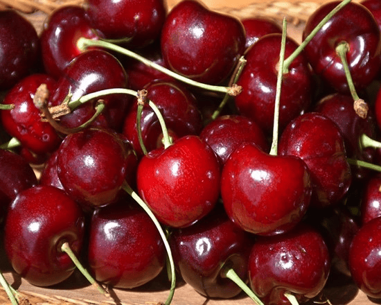 Van Cherry