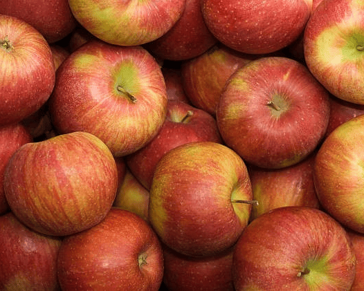 Spartan Apple