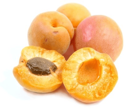 Tilton Apricot
