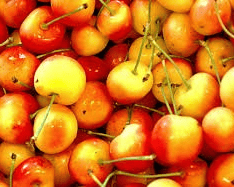 Rainier Cherry